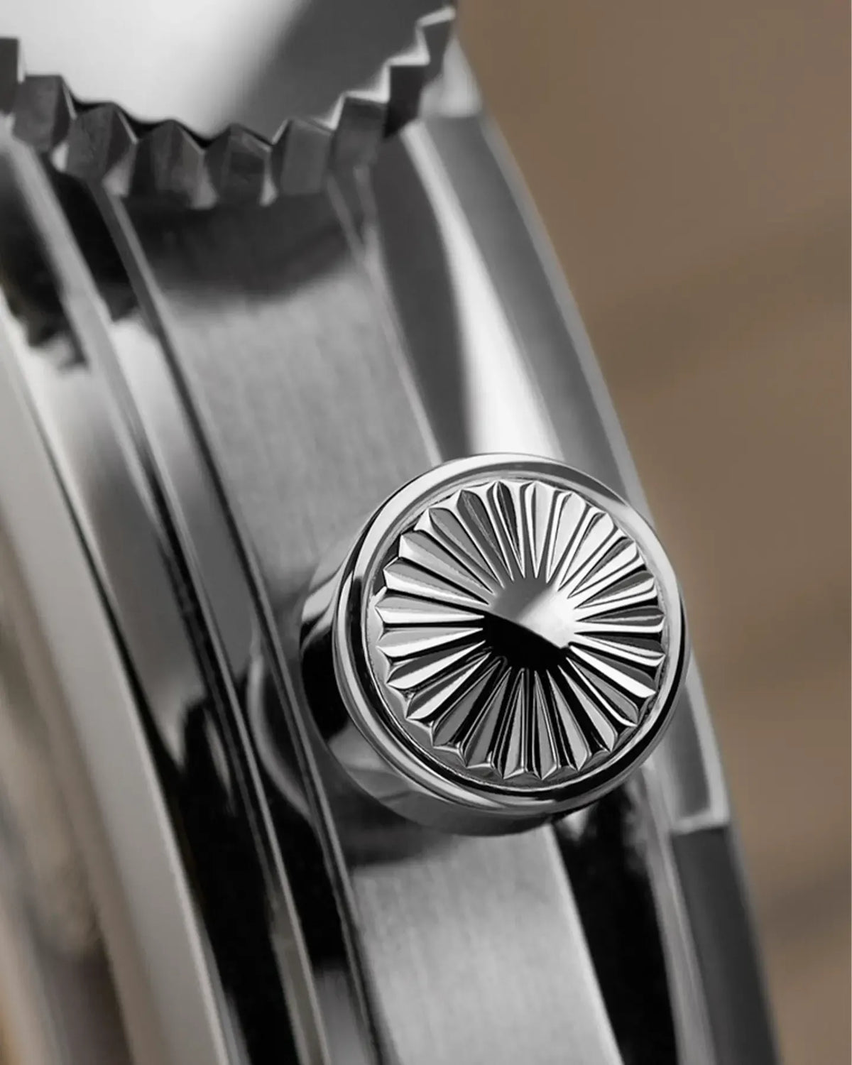 Castagna / カスターニャ