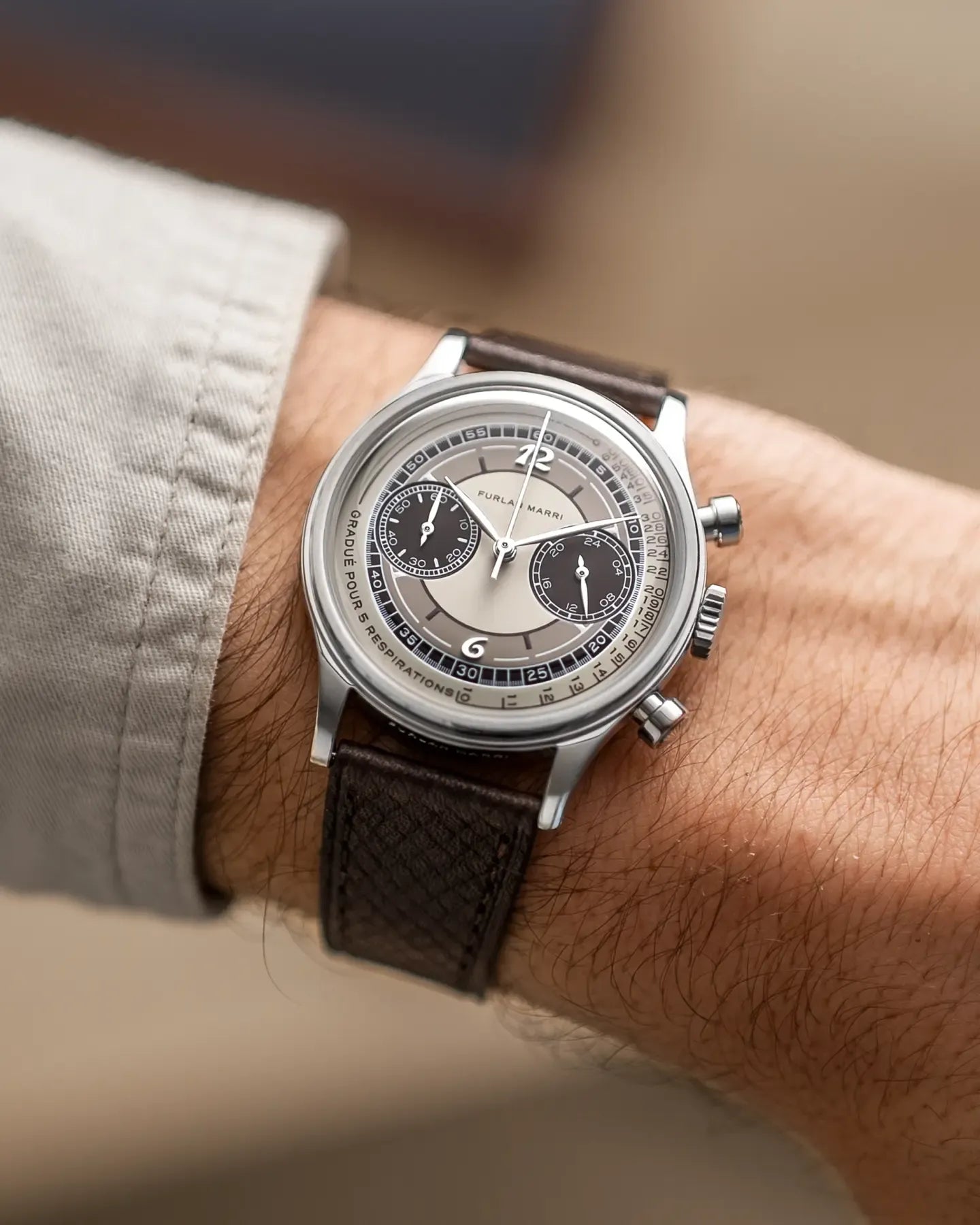 Castagna / カスターニャ