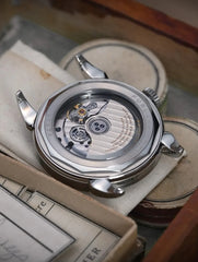 White Sector / ホワイト・セクター