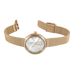 paradox ChampagneGold Case×ChampagneGold Stainless Case 32mm