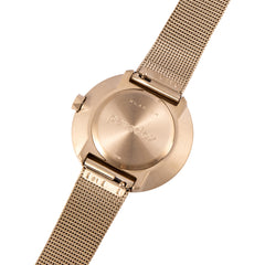 paradox ChampagneGold Case×ChampagneGold Stainless Case 32mm