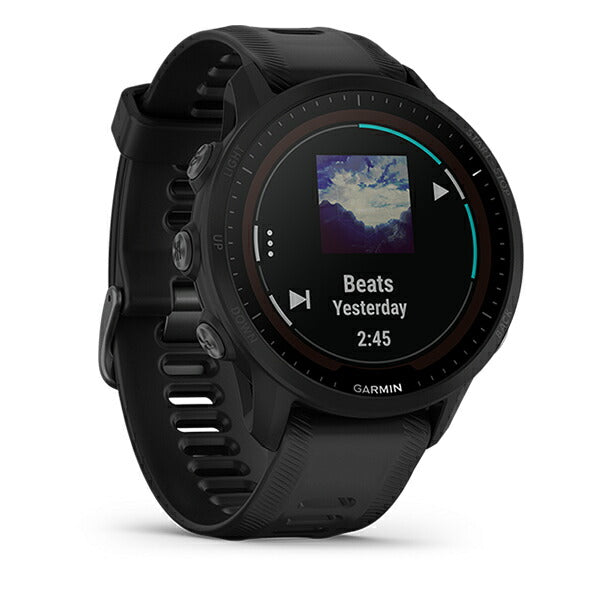 Forerunner 955 Dual Power フォアランナー 955 デュアルパワー Black 010-02638-D0