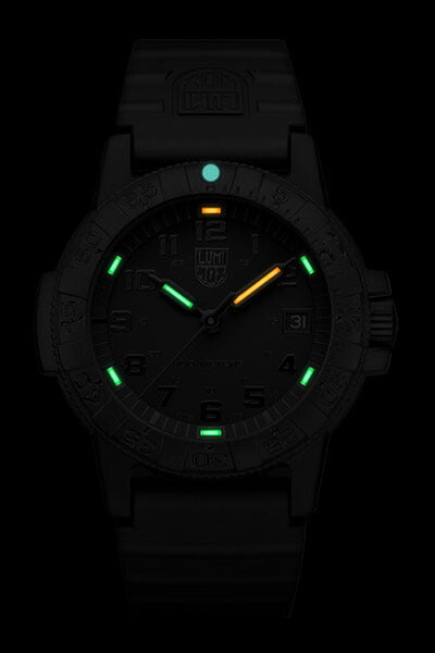 LEATHERBACK SEA TURTLE 0300 SERIESRef.0301.BO.L