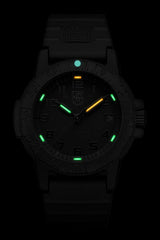 LEATHERBACK SEA TURTLE 0300 SERIESRef.0301.BO.L