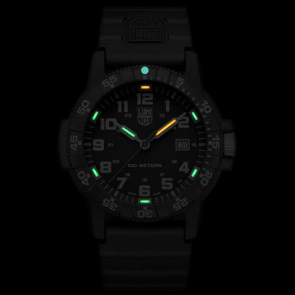 LEATHERBACK SEA TURTLE GIANT0320 SERIES レザーバック シー タートル ジャイアント 0320シリーズ Ref.0321.L