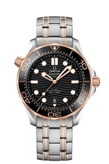 Seamaster Diver 300M Master Chronometer 42MM
