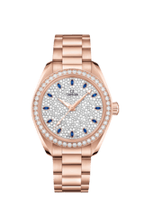 Seamaster Aqua Terra Master Chronometer 34MM