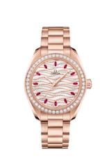 Seamaster Aqua Terra Master Chronometer 34MM