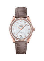 シーマスター アクアテラ 38MM