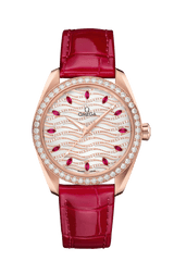 Seamaster Aqua Terra Master Chronometer 38MM