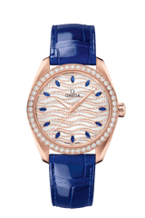 Seamaster Aqua Terra Master Chronometer 38MM