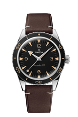 Seamaster 300 Co-Axial Master Chronometer 41MM