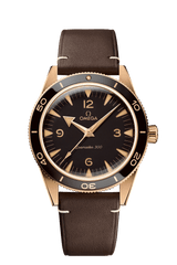 Seamaster 300 Co-Axial Master Chronometer 41MM
