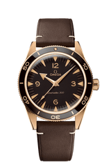 Seamaster 300 Co-Axial Master Chronometer 41MM