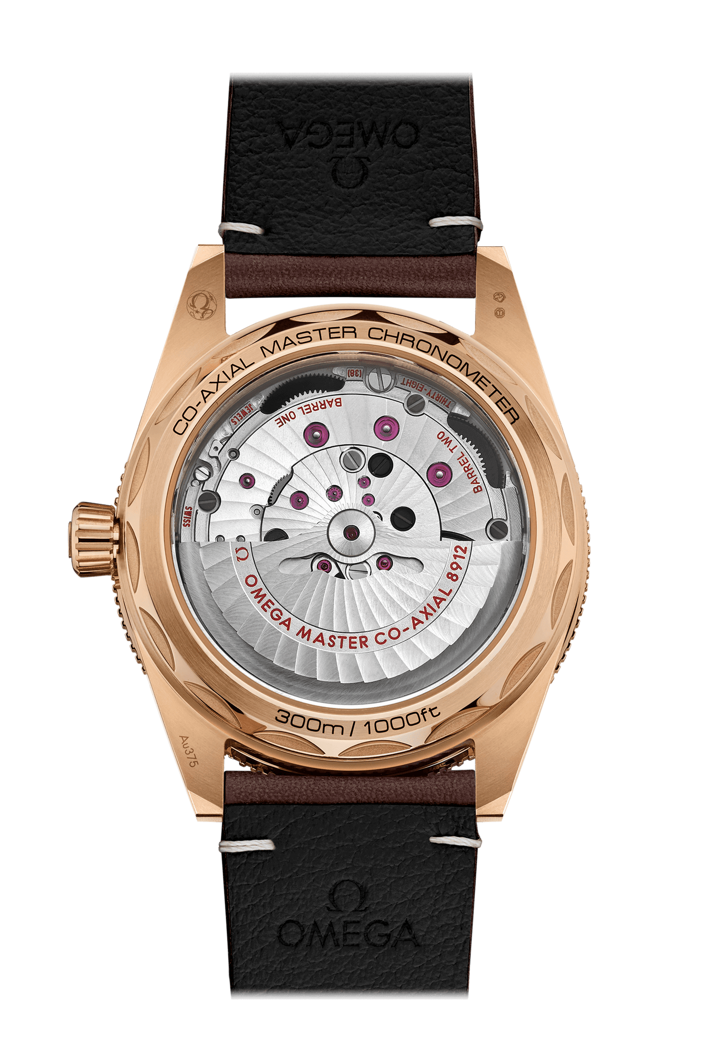 Seamaster 300 Co-Axial Master Chronometer 41MM