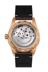 Seamaster 300 Co-Axial Master Chronometer 41MM