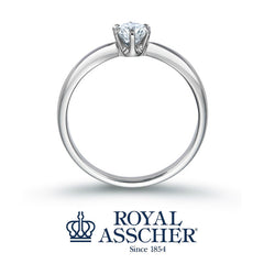 【婚約指輪】 ERA260