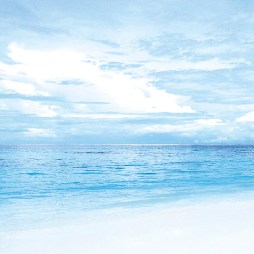 【セットリング】 プラージュ