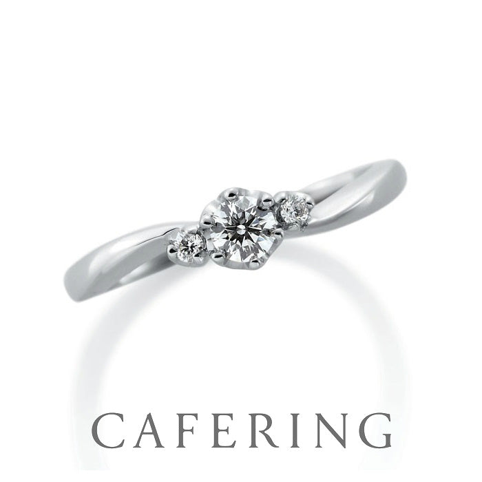 Petit Four Collection フレジエ